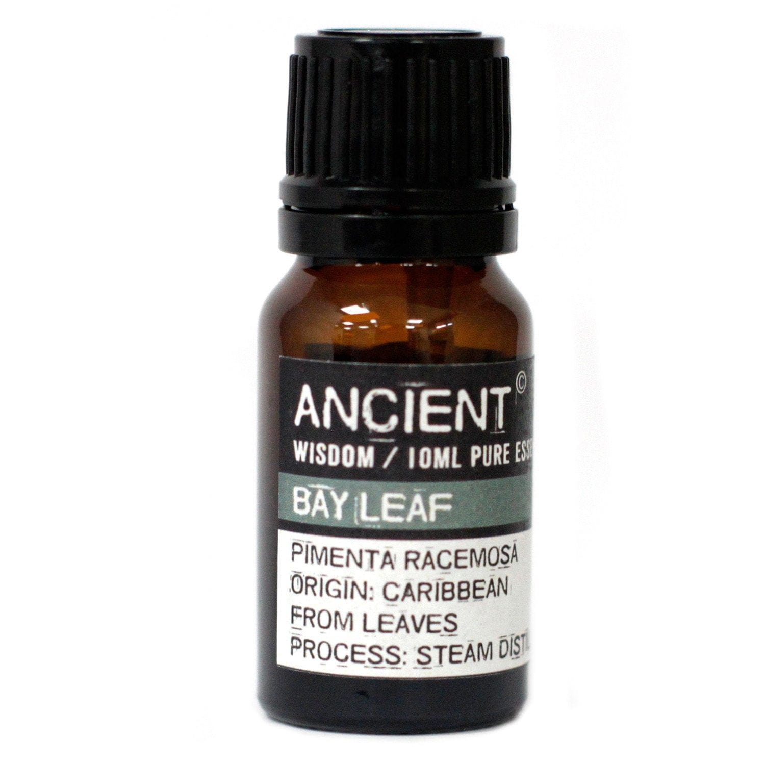 Ancient Wisdom Essential Oils & Fragrance 10 ml Bay Leaf Essential Oil