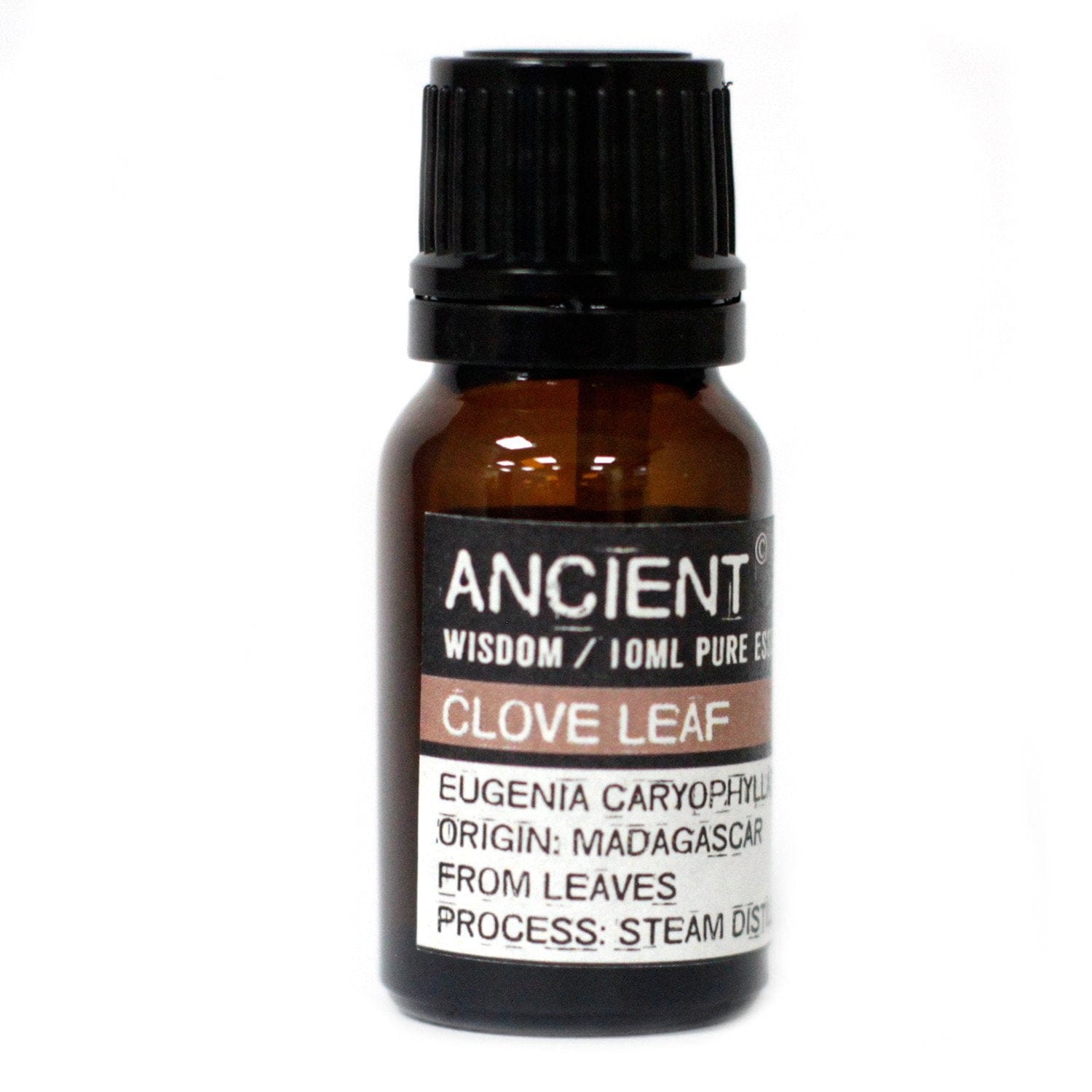 Ancient Wisdom Essential Oils & Fragrance 10 ml Clove Leaf Essential Oil