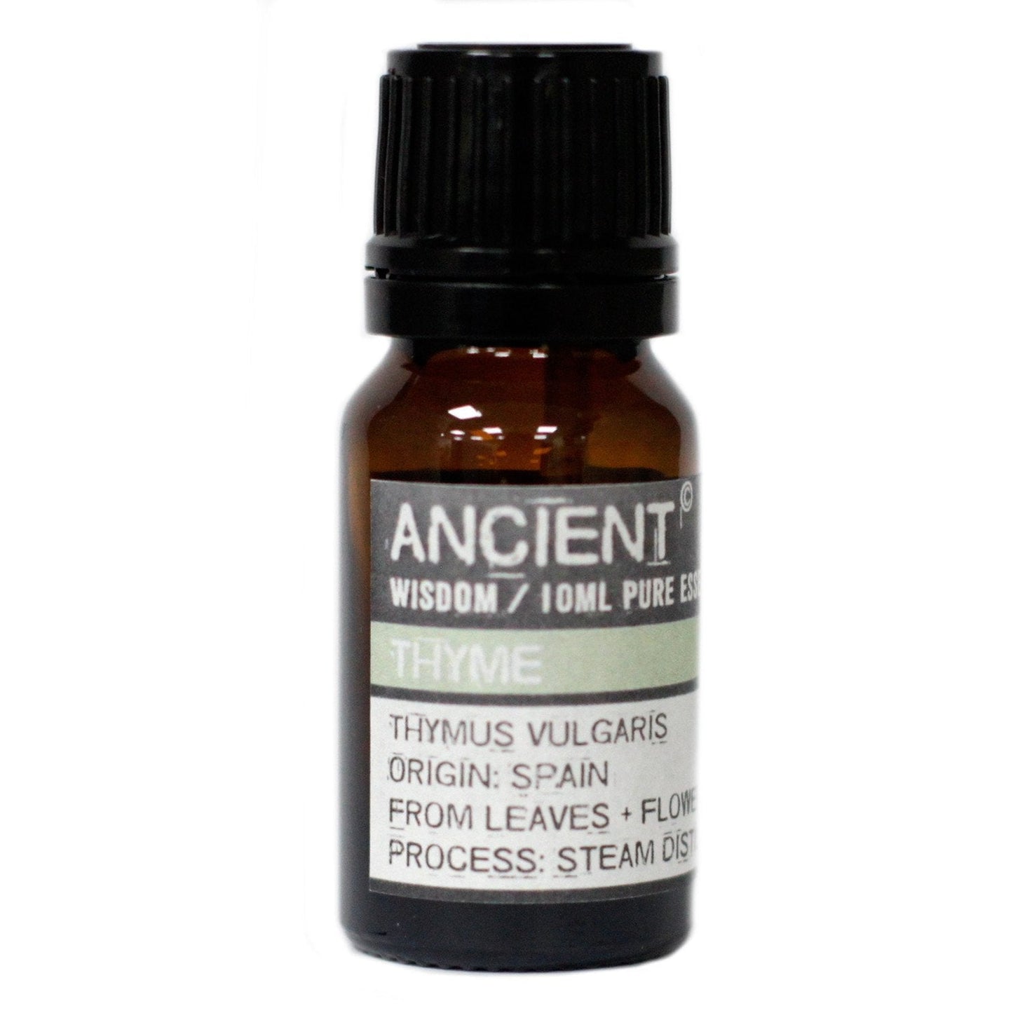 Ancient Wisdom Essential Oils & Fragrance 10 ml Thyme (White) Essential Oil