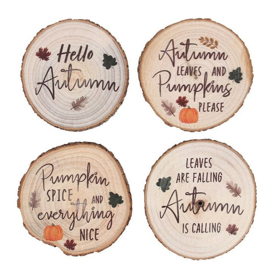 Jones Home & Gift Coasters Hello Autumn Coasters