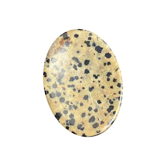 The Hare and The Moon Crystals Dalmation Jasper Worry Stone- Stone of Youth and Energy - WS18