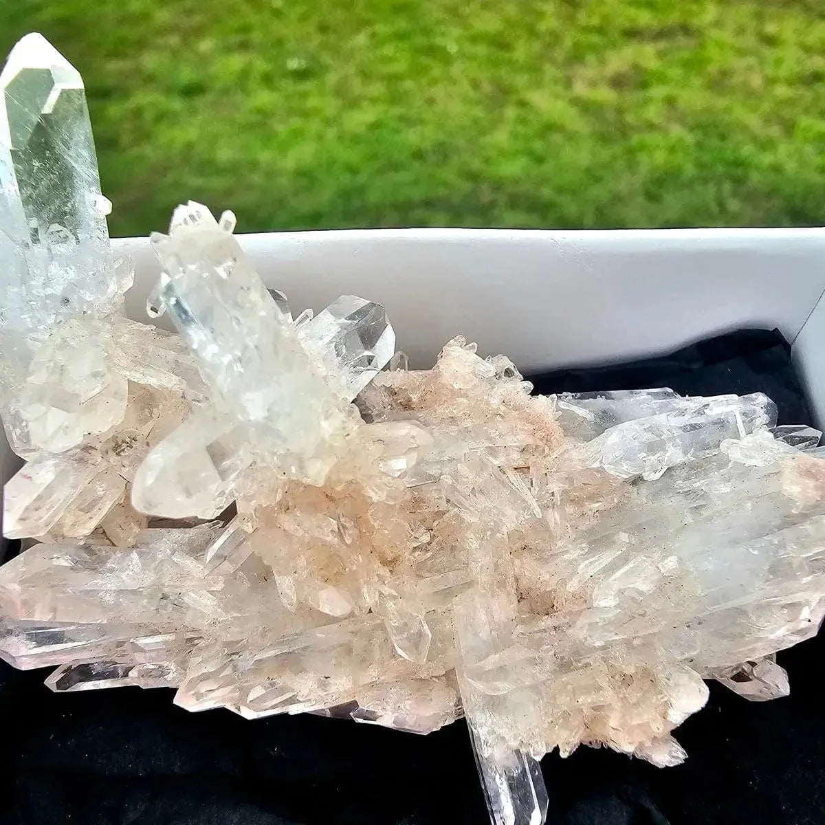 The Hare and the Moon Crystals Pink Colombian Lemurian Quartz -  The Stone of Starseeds - QT1