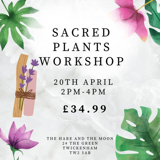 THE SPIRITUAL HEALING TEMPLE EVENTS Sacred Plants Workshop - 20th April