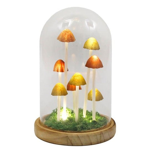 Jones Home & Gift Lighting LED GLASS MUSHROOM DOME LIGHT - 5024418577218