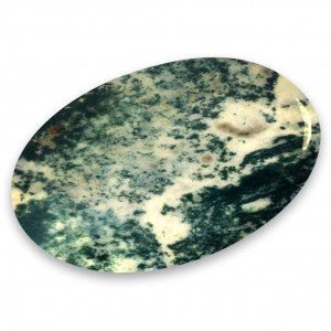 Miss Pretty London UK Limited Crystals Green Moss Agate Palm Stone - The Stone of Life - PS1