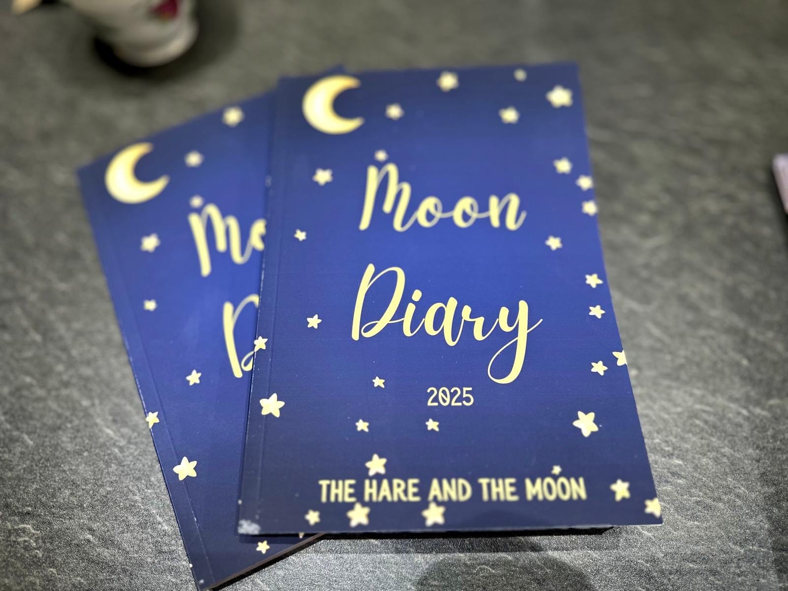 The Hare and the Moon Notebooks Moon Diary - Designed by us