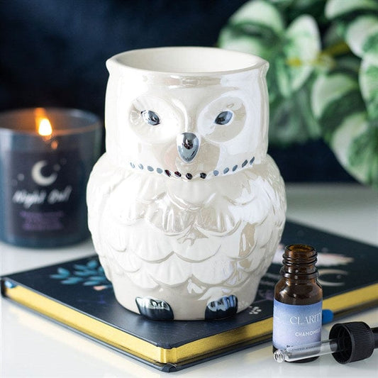 Jones Home & Gift Oil Burners OWL SHAPED IRIDESCENT OIL BURNER AND WAX WARMER - 5056131159266