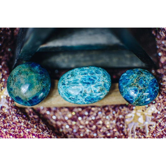 The Hare and the Moon Crystals Blue Apatite Rough Palm Stone - Stone For Flexibility and Understanding - AP44