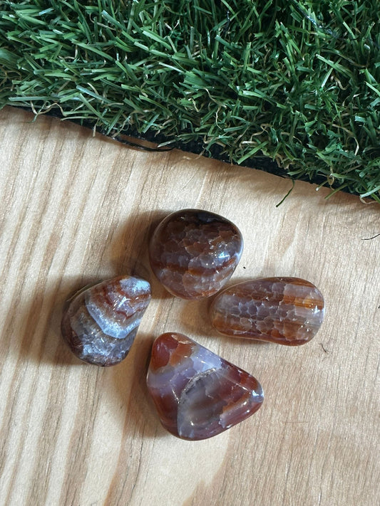 The Hare and The Moon Crystals Fire Agate Tumble Stone - The Stone of Life Force