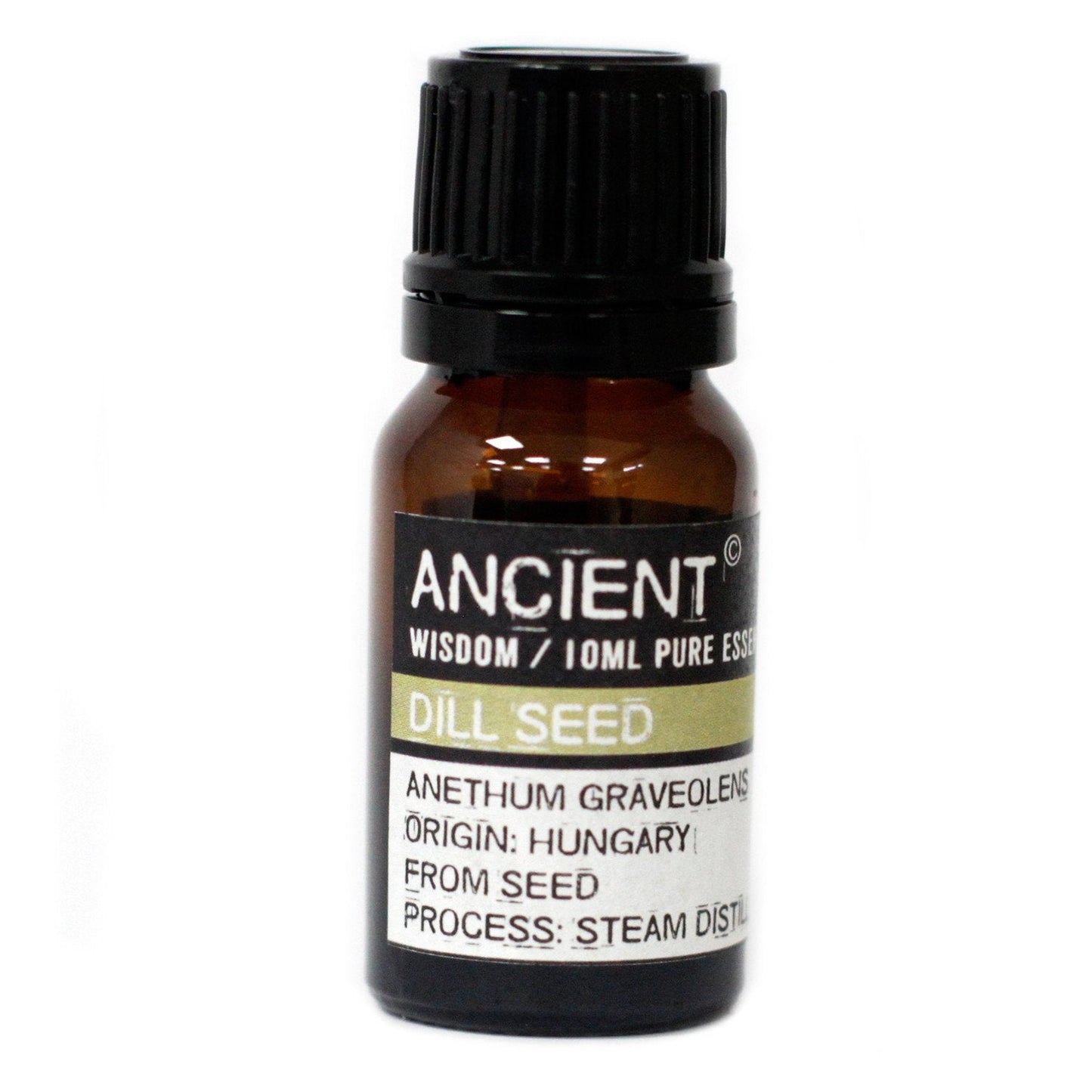 Ancient Wisdom Essential Oils & Fragrance 10 ml Dill Seed Essential Oil