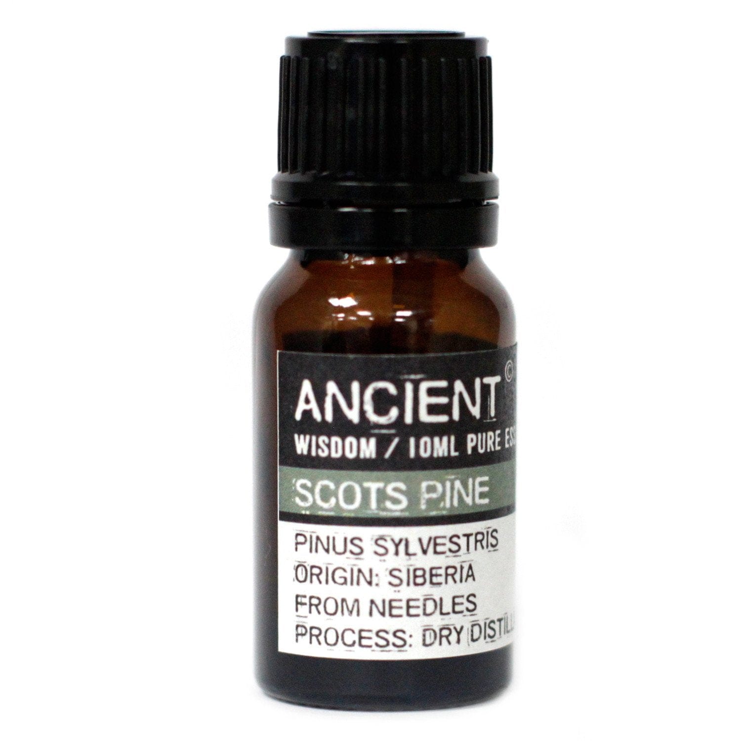 Ancient Wisdom Essential Oils & Fragrance 10 ml Pine Sylvestris (Scots Pine) Essential Oil