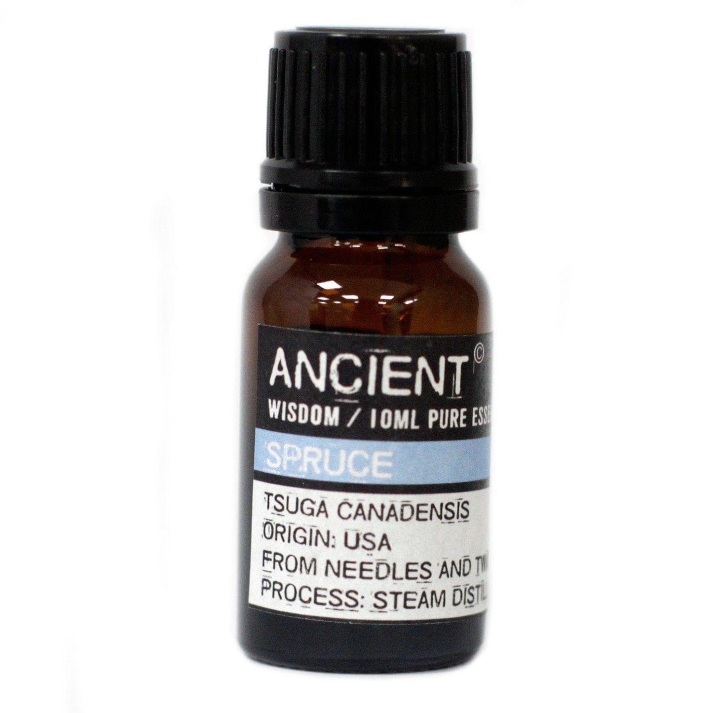 Ancient Wisdom Essential Oils & Fragrance 10 ml Spruce Essential Oil