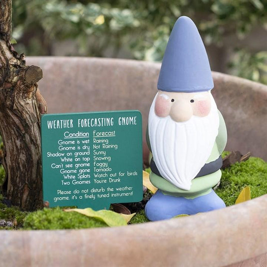 Jones Home & Gift Garden Ornaments TERRACOTTA WEATHER FORECASTING GNOME