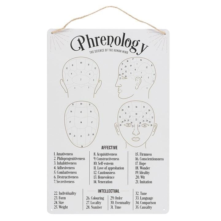 Jones Home & Gift Signs and Memoboards PHRENOLOGY MAP METAL SIGN