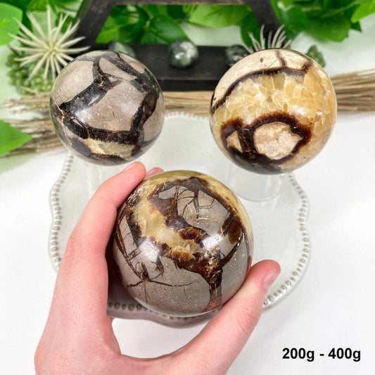 The Hare and The Moon Crystals Septarian Polished Sphere - The Stone of Privacy - SH21